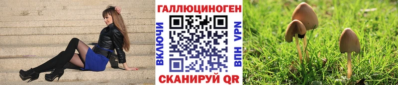 KRAKEN вход  Калач  Галлюциногенные грибы ЛСД 